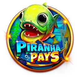 5bet55 4 play bet cassino iOS